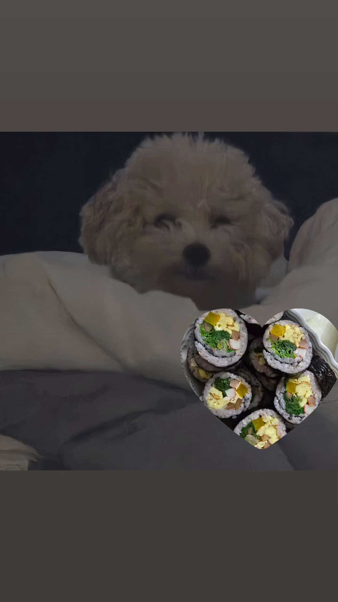 엄마표 김밥 사랑하는 이탱구 🙊 - 포동 | 커뮤니티