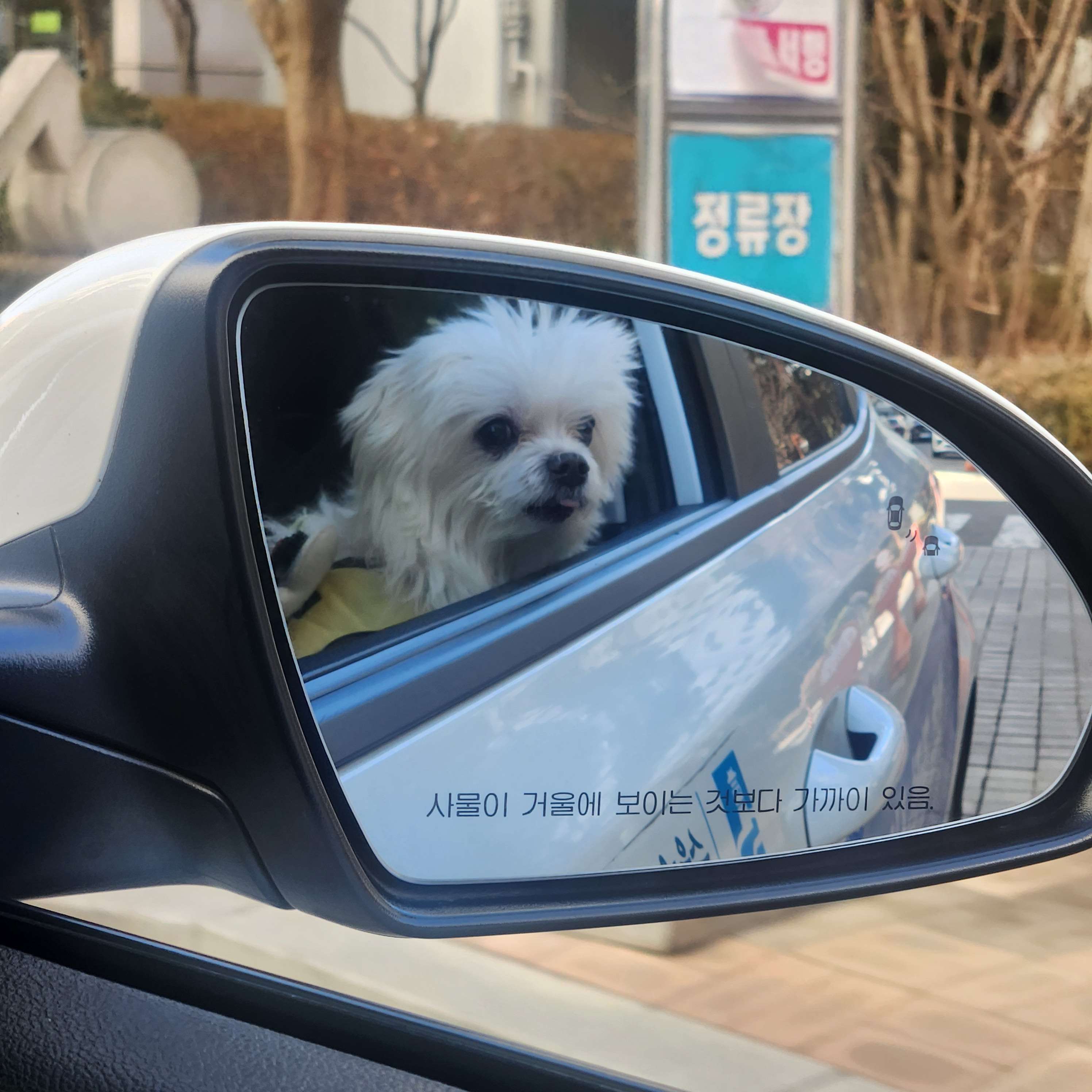 Jo초롱네의 사는 얘기 ♡ - 포동 | 커뮤니티
