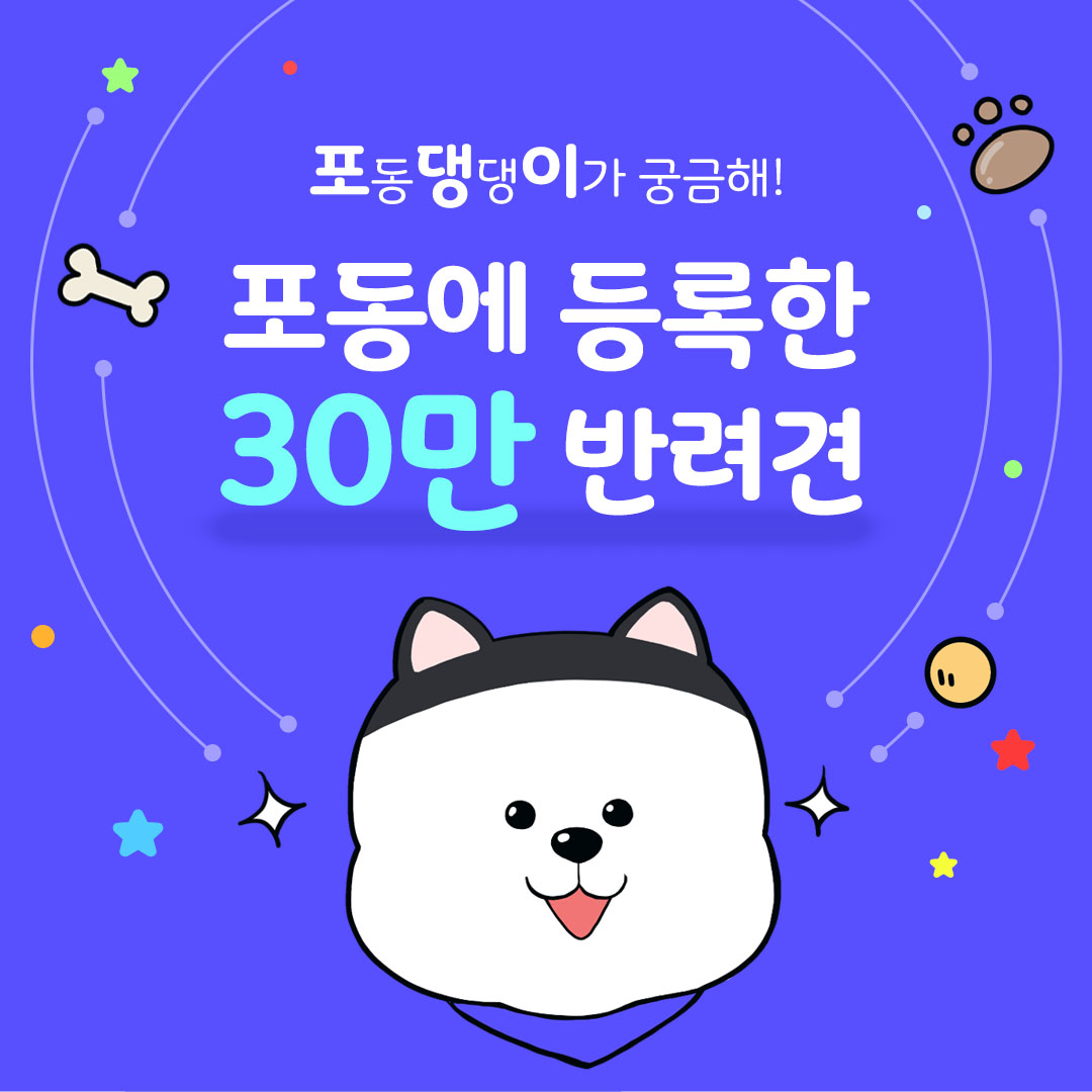 포동에 모인 댕댕이들!! - 포동 | 커뮤니티 [포댕이 특별편🧙‍♂️] 1탄. 포동에 모인 댕댕이들!!  - 포동 | 커뮤니티