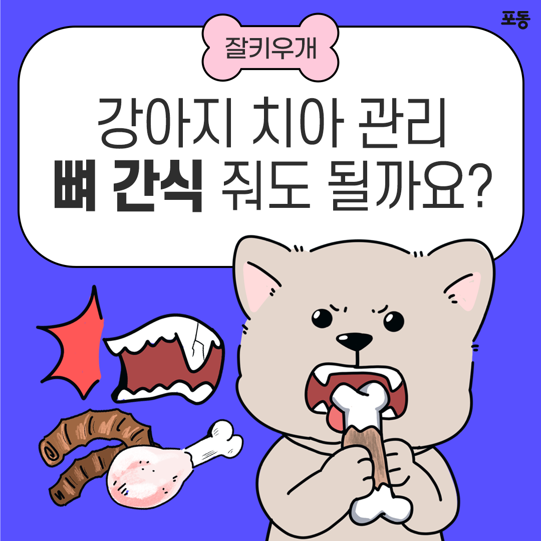 개에게 칠면조 뼈를 줄 수 있습니까